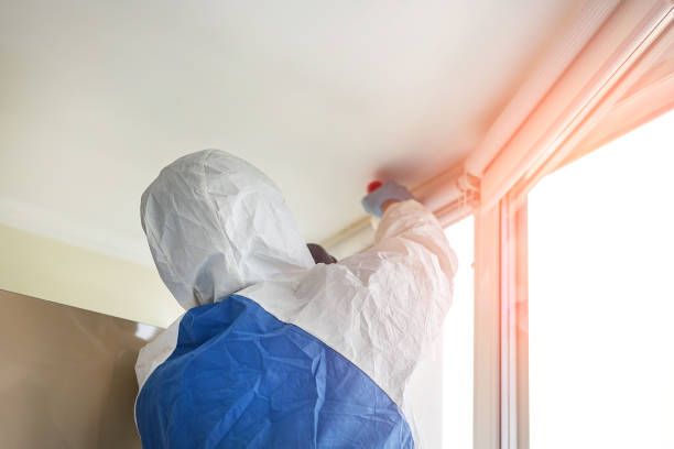 Best Attic Mold Removal  in Jasper, FL